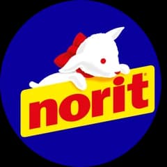 Norit